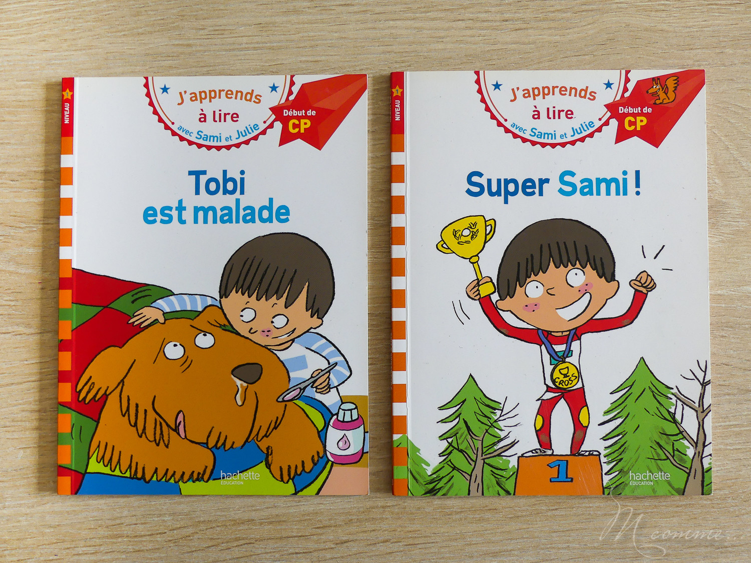 Pour aider l'enfant à apprendre à lire à son rythme, je vous propose de découvrir 10 idées de livres pour des premières lectures. #lecture #apprentissagelecture #premiereslectures #livres #CP #CE1 #apprendrealire J'apprends à lire seul Hachette premières lectures