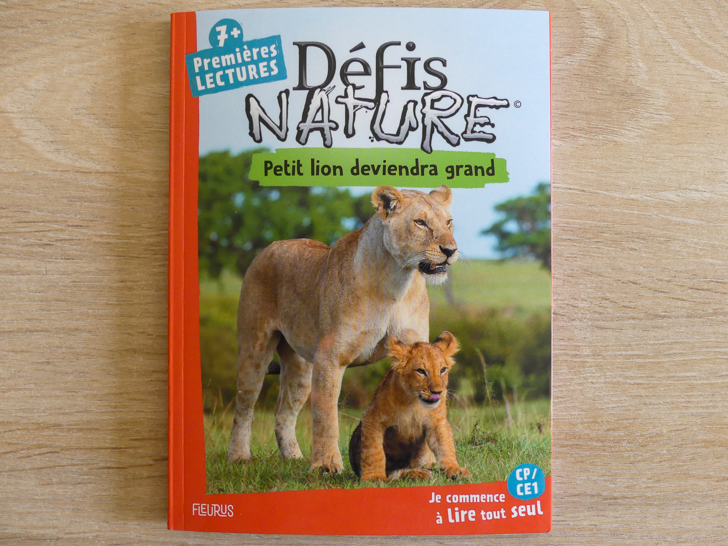 Pour aider l'enfant à apprendre à lire à son rythme, je vous propose de découvrir 10 idées de livres pour des premières lectures. #lecture #apprentissagelecture #premiereslectures #livres #CP #CE1 #apprendrealire Premières lecture livre défis nature