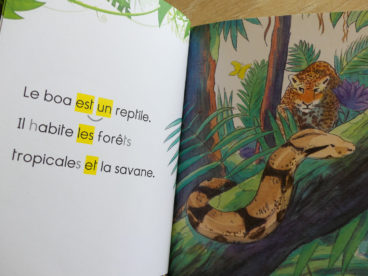 Pour aider l'enfant à apprendre à lire à son rythme, je vous propose de découvrir 10 idées de livres pour des premières lectures. #lecture #apprentissagelecture #premiereslectures #livres #CP #CE1 #apprendrealire Livre saisons au zoo Larousse