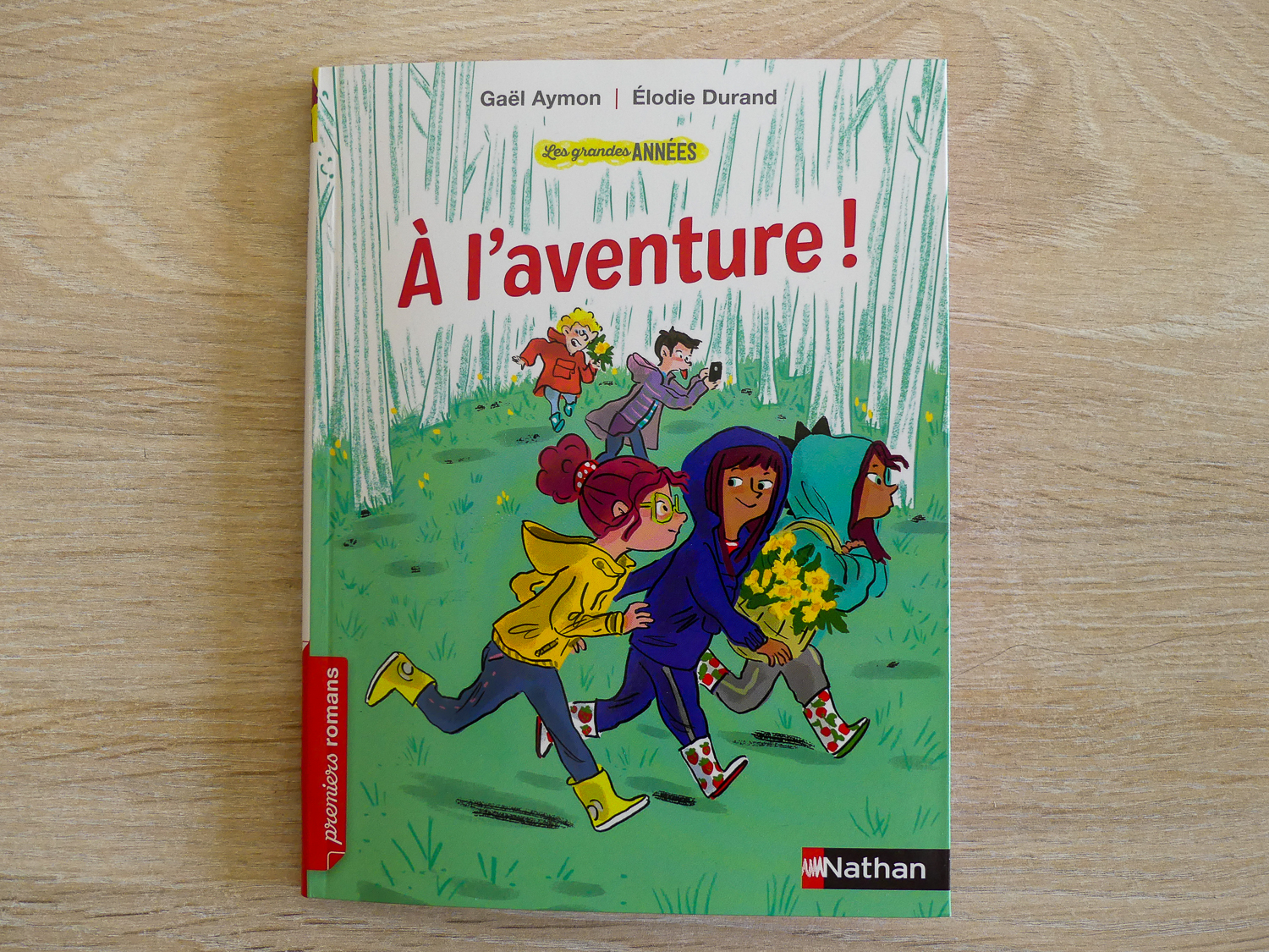 Pour aider l'enfant à apprendre à lire à son rythme, je vous propose de découvrir 10 idées de livres pour des premières lectures. #lecture #apprentissagelecture #premiereslectures #livres #CP #CE1 #apprendrealire Premier roman Nathan CE1