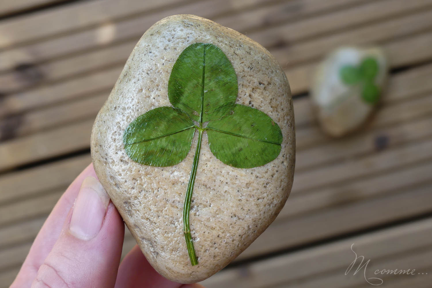 Idée cadeau fête des mères diy facile