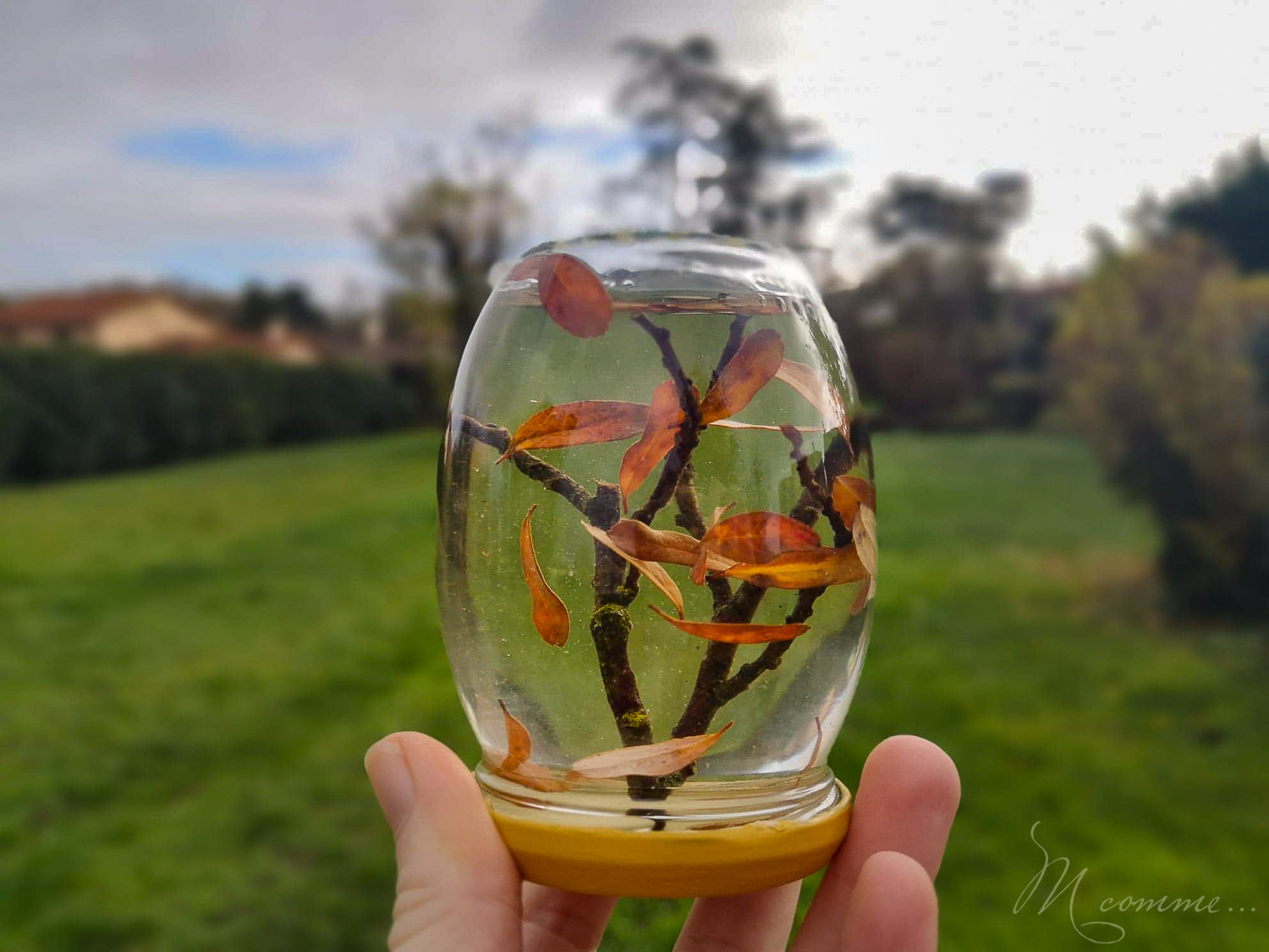 Avec des petites choses ramassées dans la nature, voici une petite activité manuelle d’automne : créer un arbre façon boule à neige ! #automne #activite #diy #tuto #activitemanuelle #feuilles #maternelle Activité d'automne feuilles arbre façon boule à neige