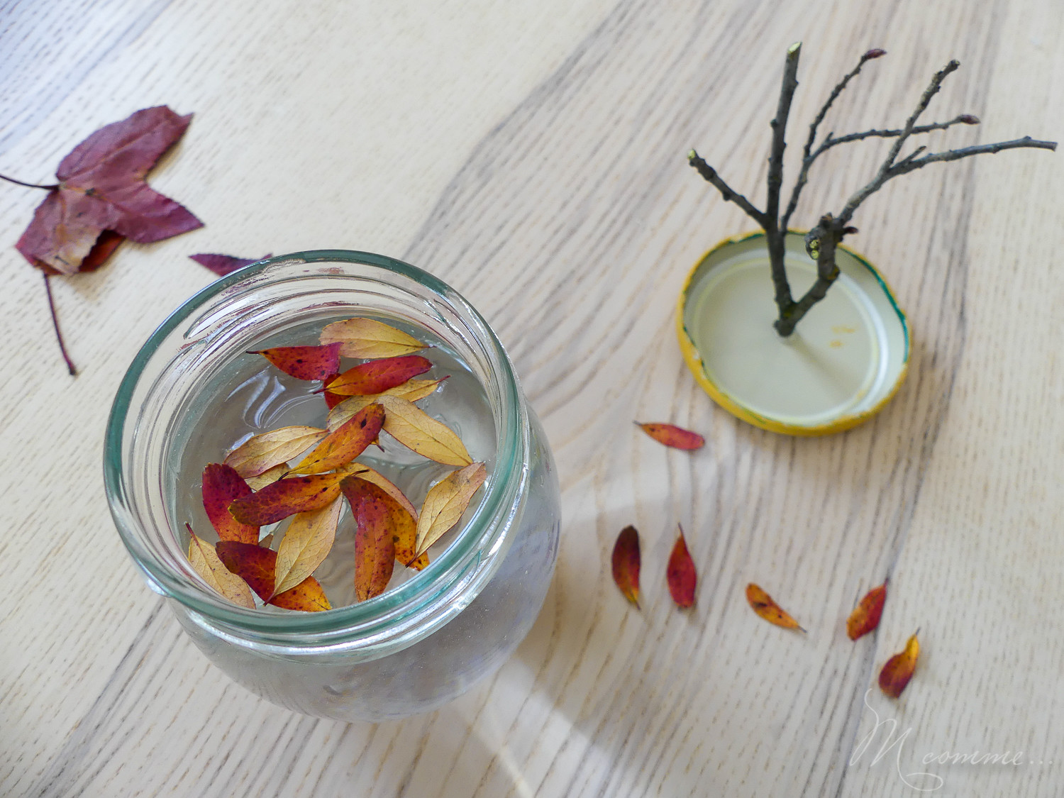 Avec des petites choses ramassées dans la nature, voici une petite activité manuelle d’automne : créer un arbre façon boule à neige ! #automne #activite #diy #tuto #activitemanuelle #feuilles #maternelle Activité d'automne avec feuilles pour maternelle