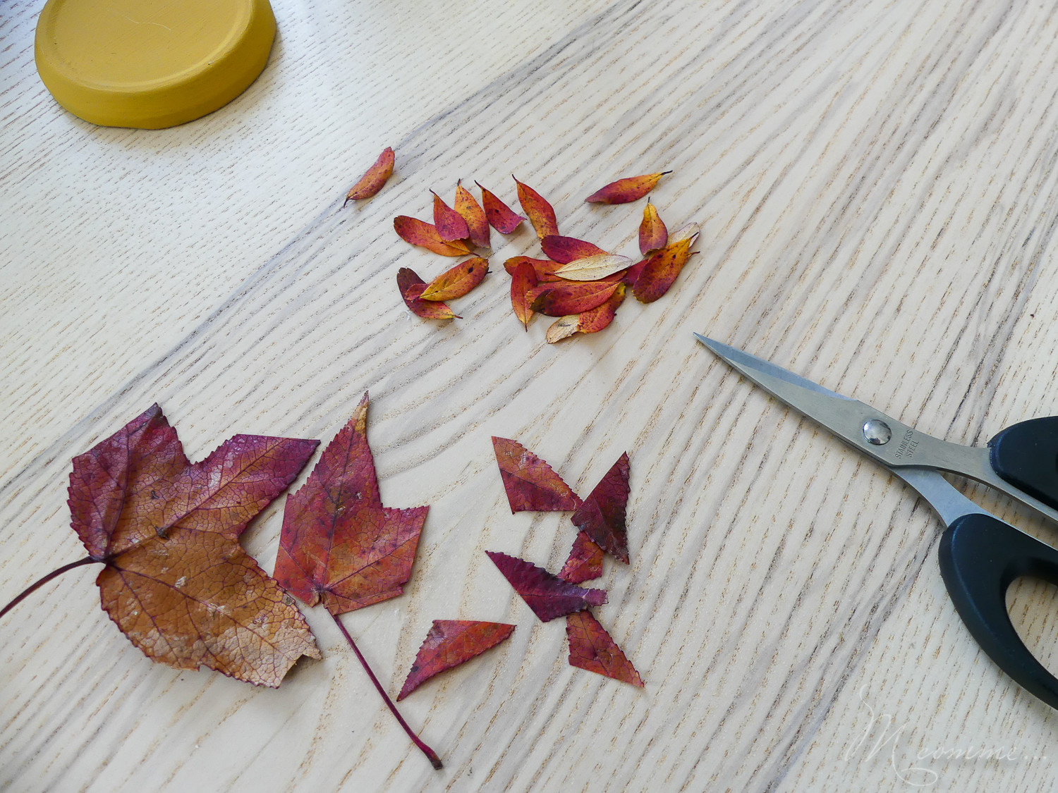 Avec des petites choses ramassées dans la nature, voici une petite activité manuelle d’automne : créer un arbre façon boule à neige ! #automne #activite #diy #tuto #activitemanuelle #feuilles #maternelle Activité d'automne avec feuilles mortes