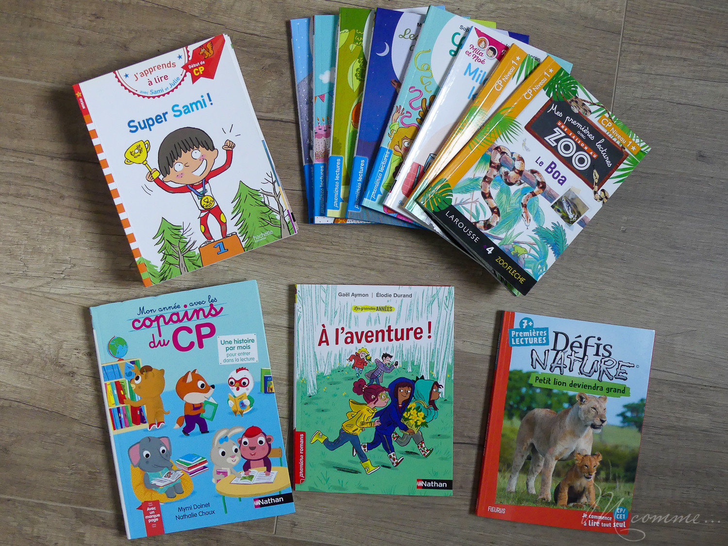 Pour aider l'enfant à apprendre à lire à son rythme, je vous propose de découvrir 10 idées de livres pour des premières lectures. #lecture #apprentissagelecture #premiereslectures #livres #CP #CE1 #apprendrealire choisir-un-livre-premieres-lectures-enfants