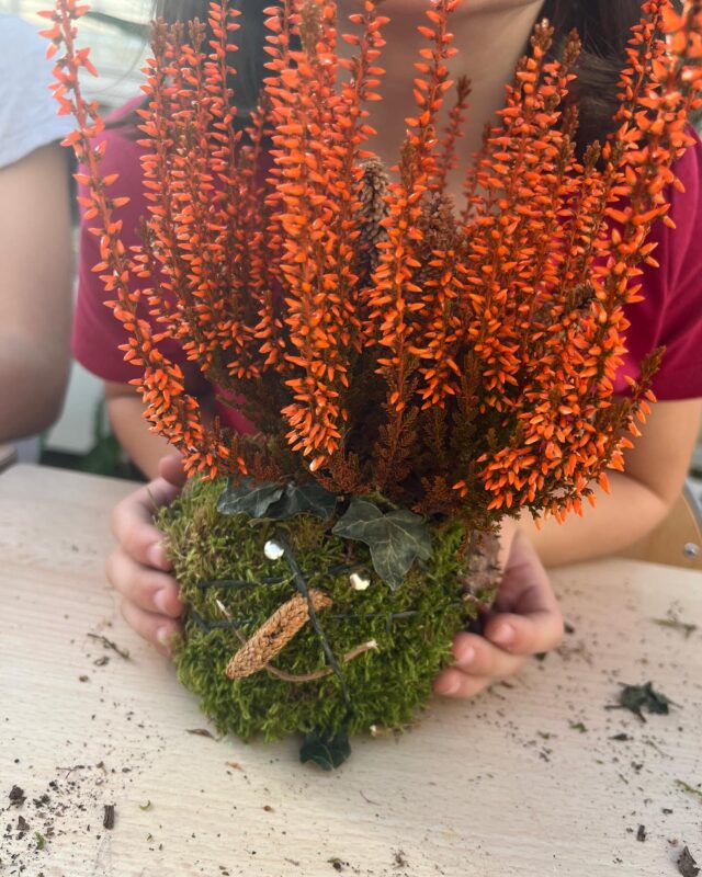 Aujourd’hui nous avons découvert le kokedama avec les enfants ! 

C’était une chouette activité organisée par @osez_planter_ca_pousse sur le thème d’Halloween 🎃

Les enfants ont adoré ! Il ne leur reste plus qu’à prendre soin de leur réalisation 😉

#kokedama #ateliercreatif #ateliercréatif #plante